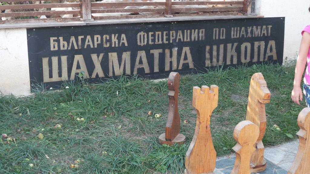 Guest House Kamenik Yagodina Exterior foto