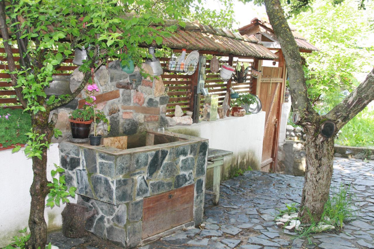 Guest House Kamenik Yagodina Exterior foto